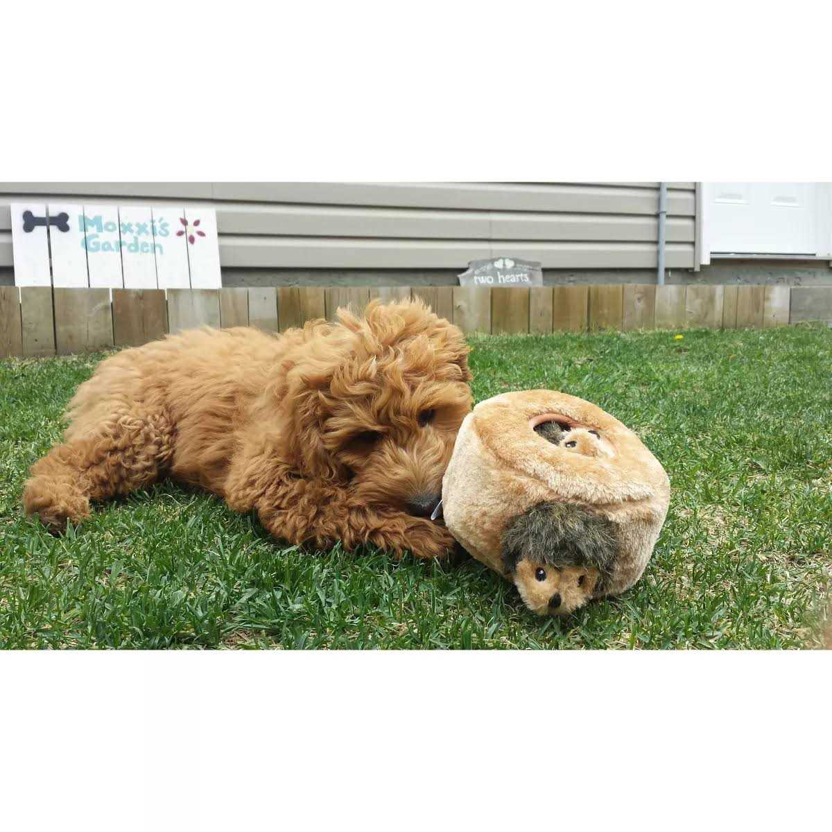 Hedgehog Dog Toy X1892