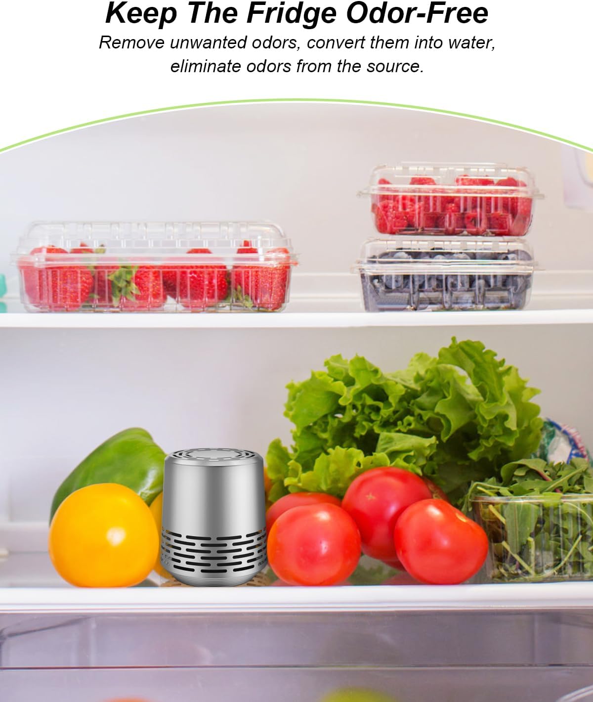 Refrigerator Deodorizer 2-Pack Silver I58733