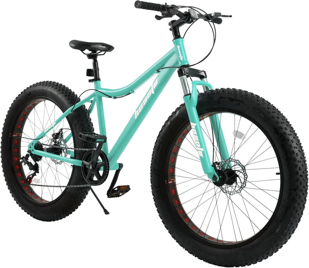 26 inch 7 Speed Double Disc Brake Fat Tire Mountain Bike O2645