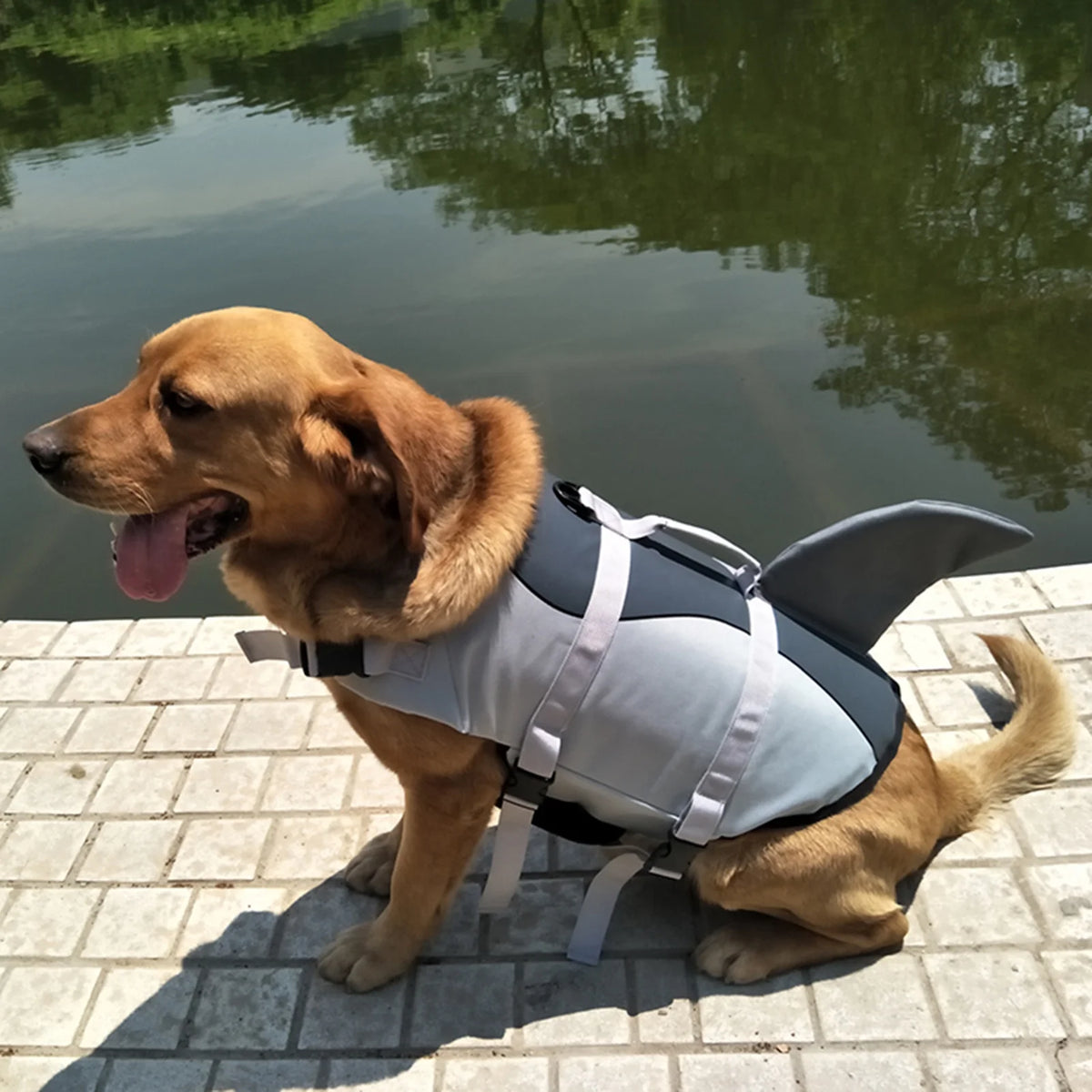 Dog Pet Shark Swimsuit Vest Safety Wear Preserver Q4226