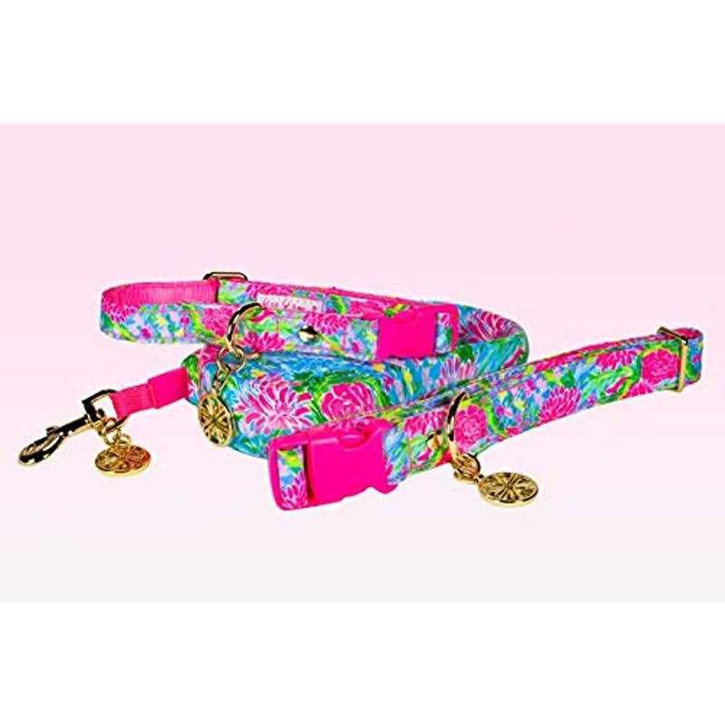 Dog Leash R4816