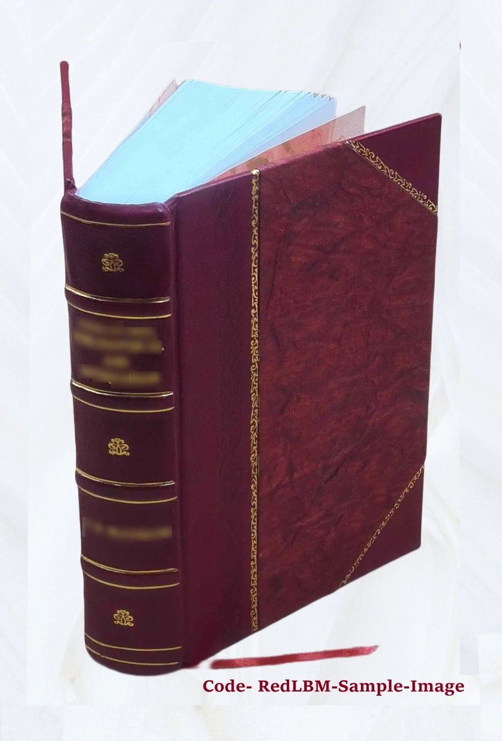 Leather Bound Book F22391