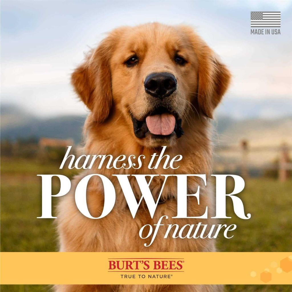 Dog Shampoo G792877