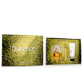 Daisy Perfume Gift Set D235