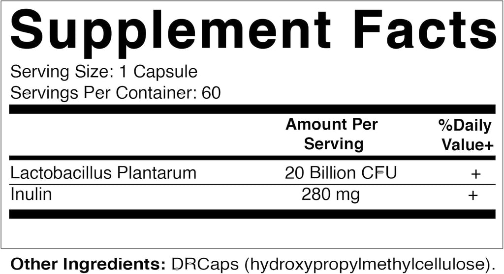 20 Billion per Capsule 60 Count Lactobacillus Plantarum DR Capsule K1711