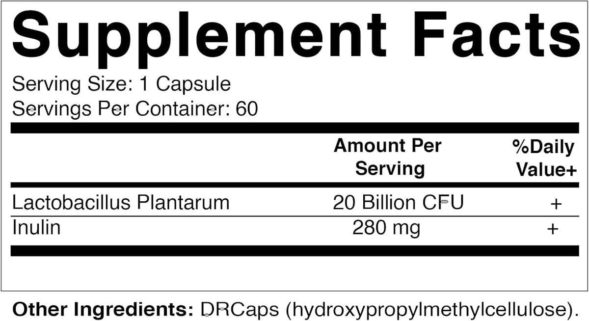 20 Billion per Capsule 60 Count Lactobacillus Plantarum DR Capsule K1711