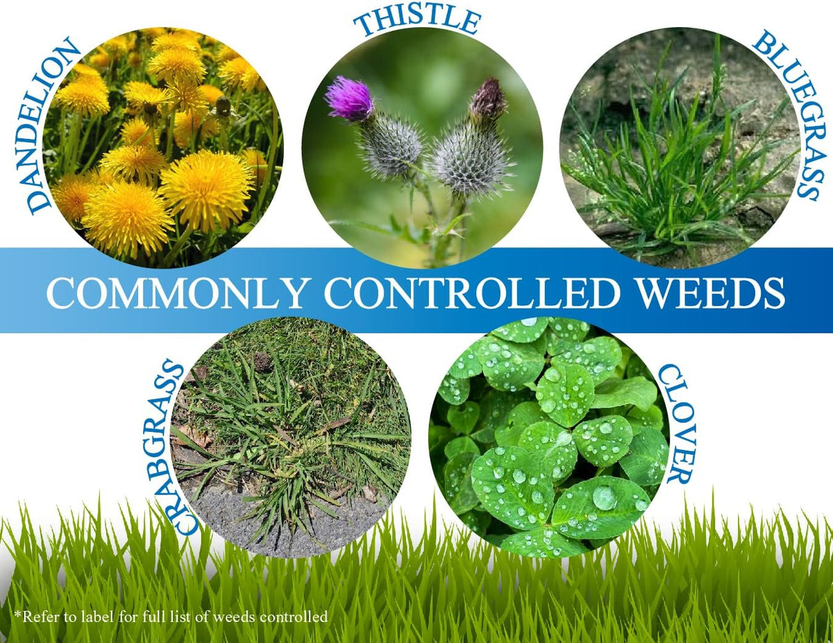 16 Ounces Turf Herbicide V8318
