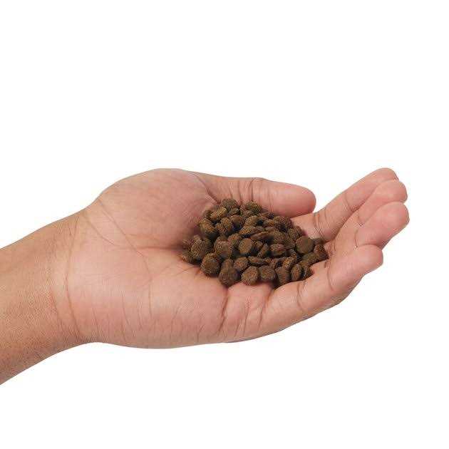 Grain Free Cat Dry Food Lamb & Blueberry X31015