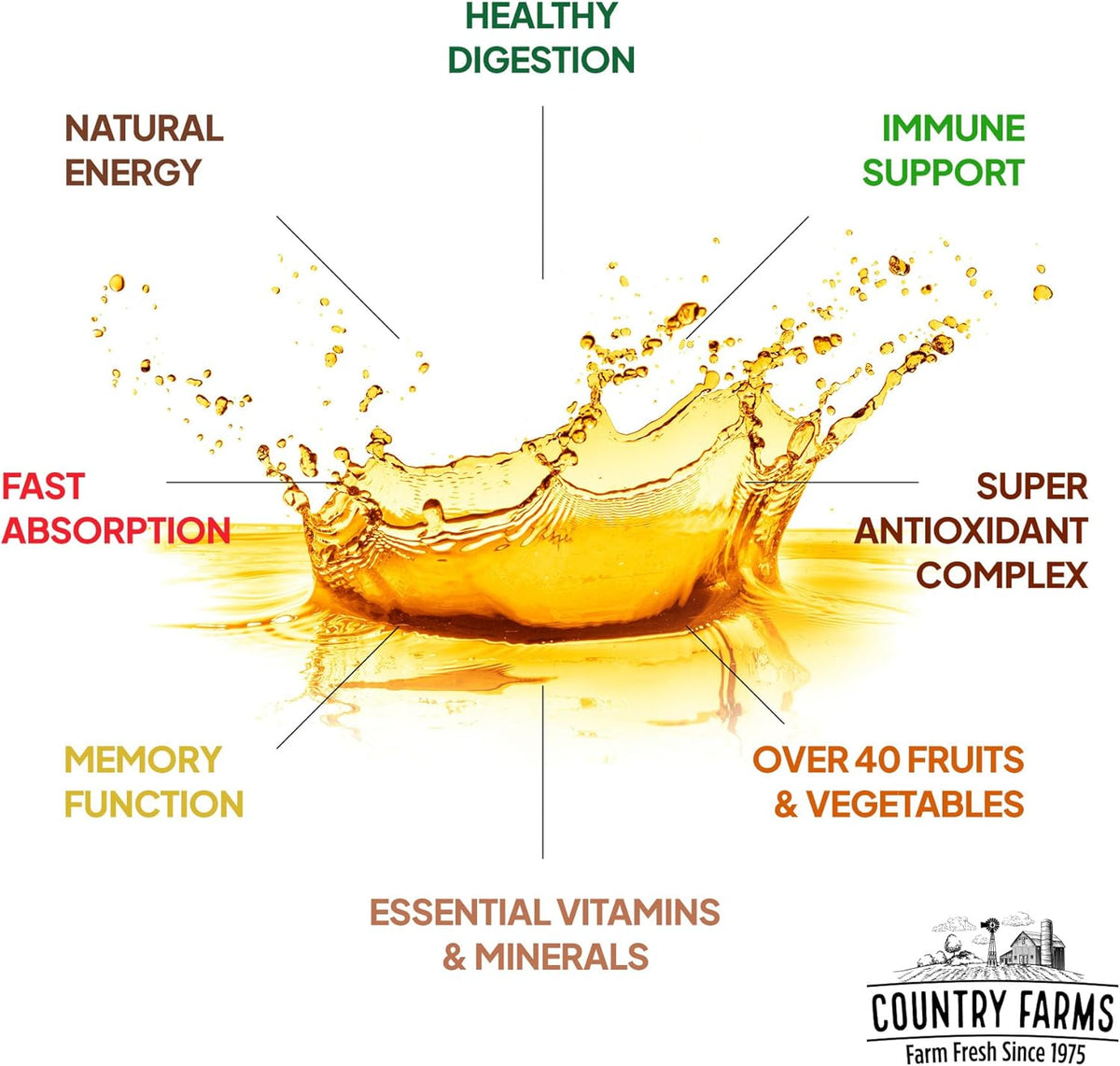 Morning Liquid Multivitamin, 32 fl oz N9830