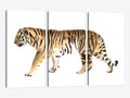 3-Piece Watercolor Tiger Canvas Print I291396