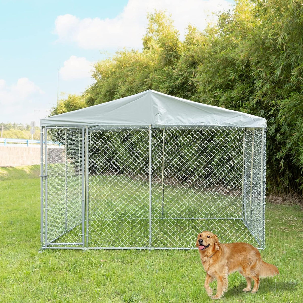 10x10 ft Extra Large Outdoor Dog Kennel with Roof F5401