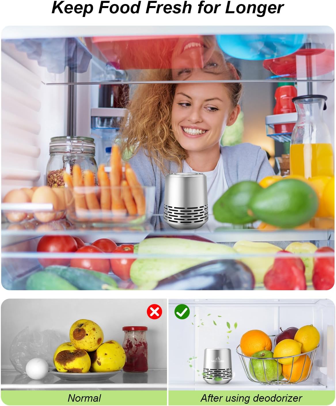 Refrigerator Deodorizer 2-Pack Silver I58733