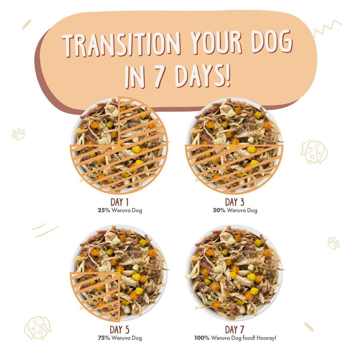 Dog Food C572752