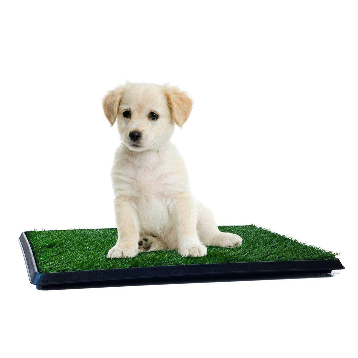 Pet Supplies B224