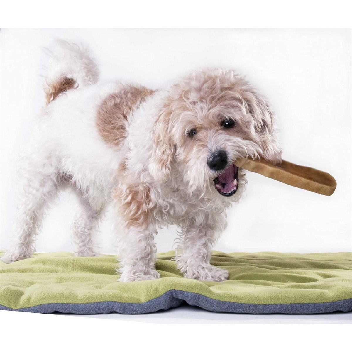 Himalayan Yak Chews Dental Dog Treats C880