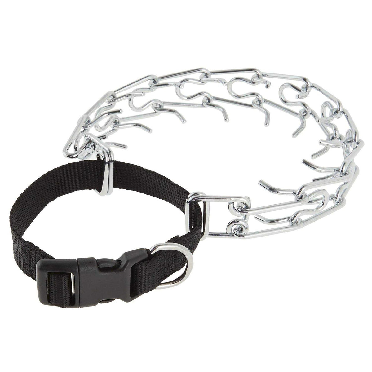 Buckle Prong Training Dog Collar Z236
