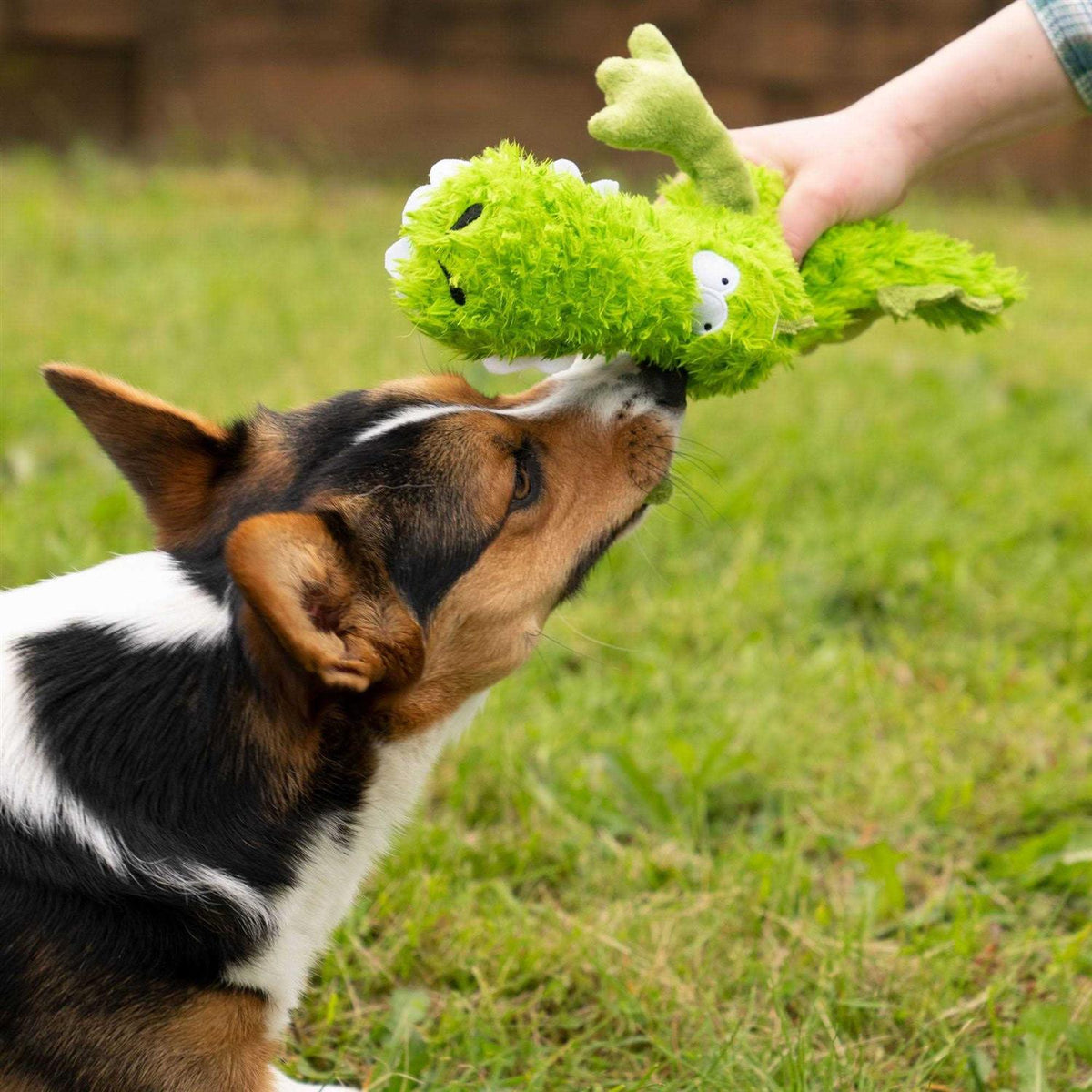 Dog Toy L29626