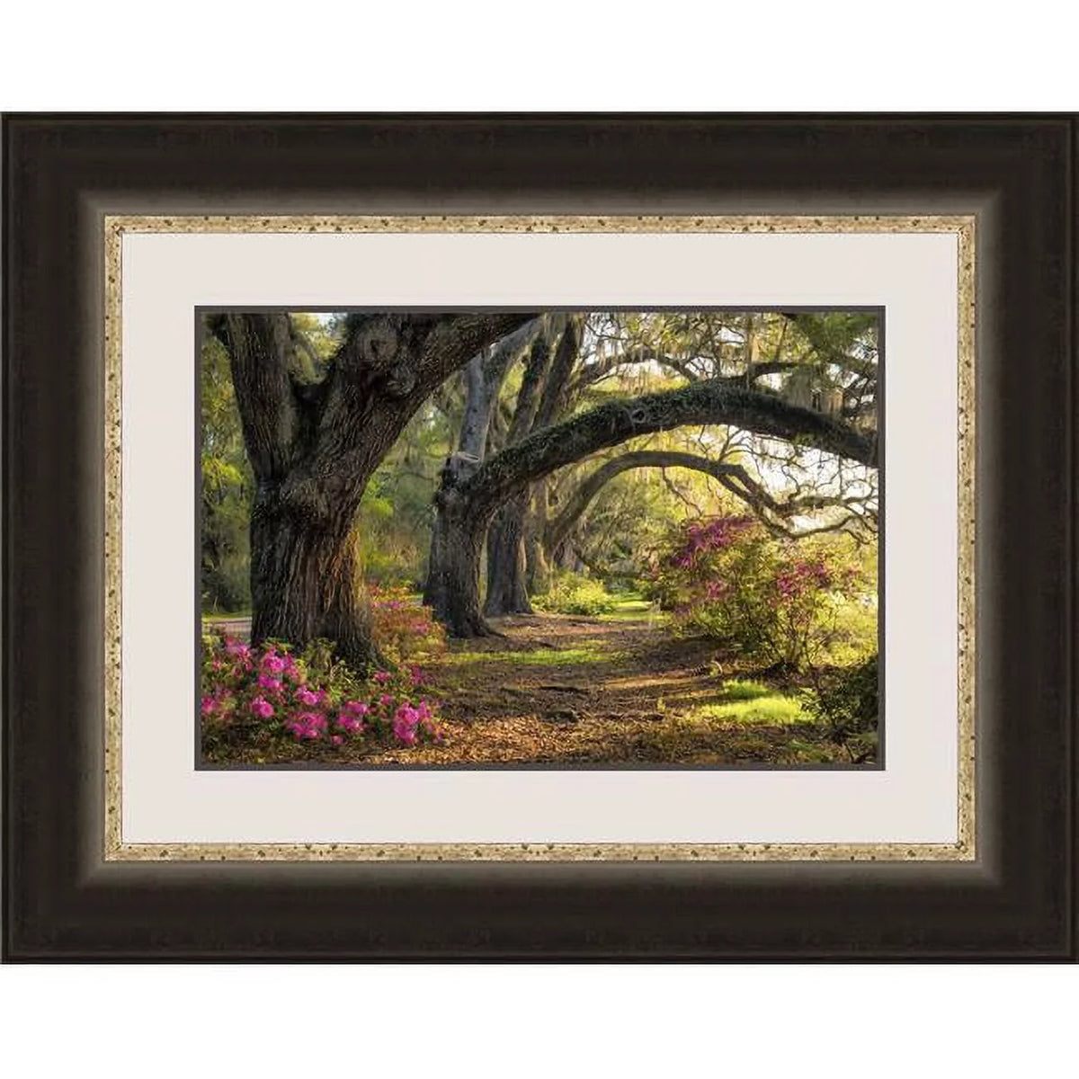 Framed Fine Art Print with Glass G266