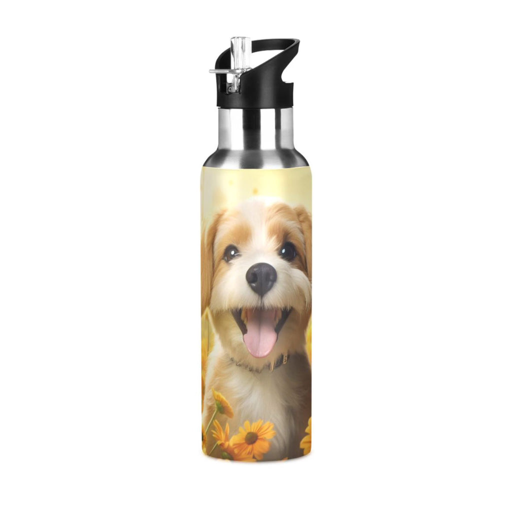 20 oz Insulated Stainless Steel Water Bottle with Straw Lid O4098