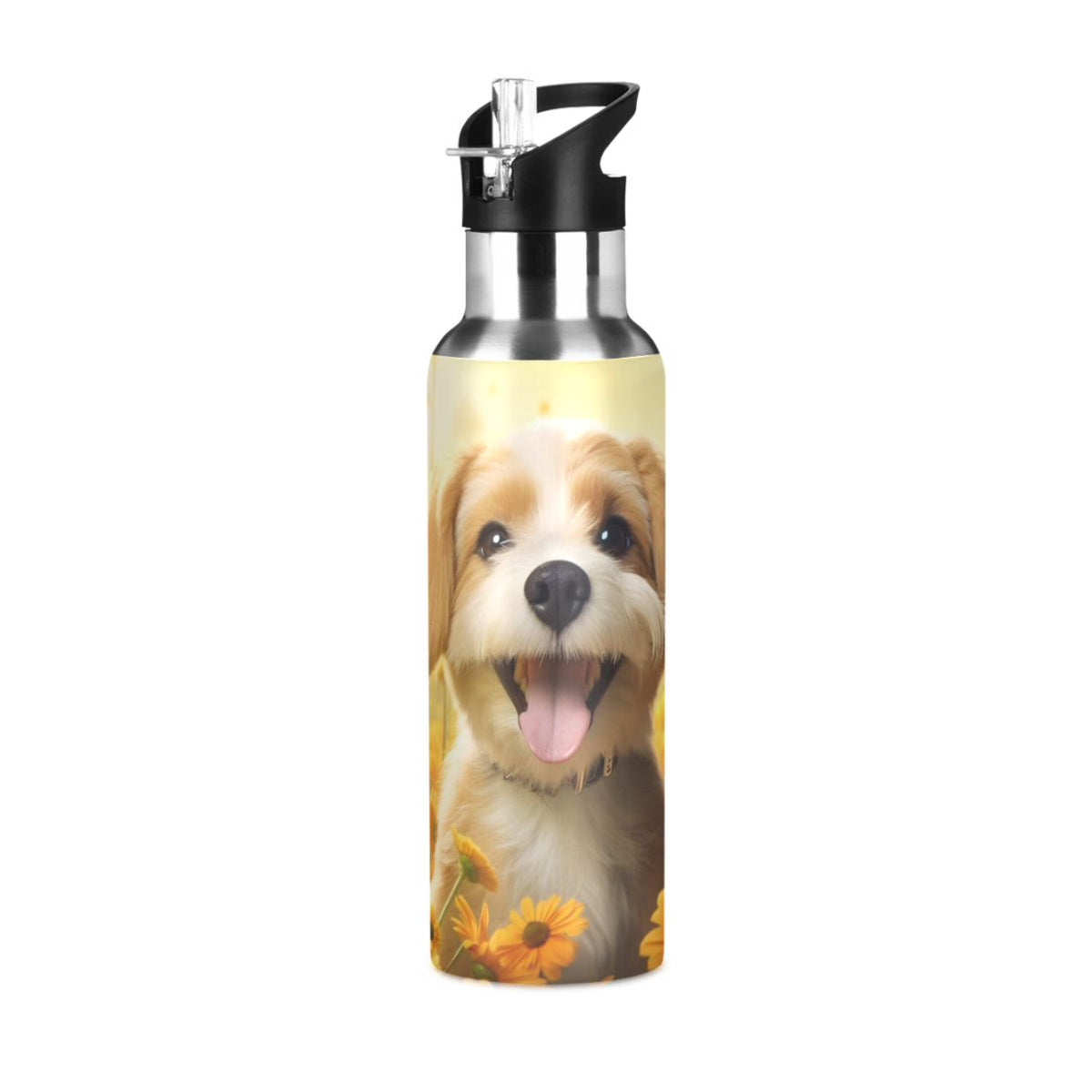 20 oz Insulated Stainless Steel Water Bottle with Straw Lid O4098