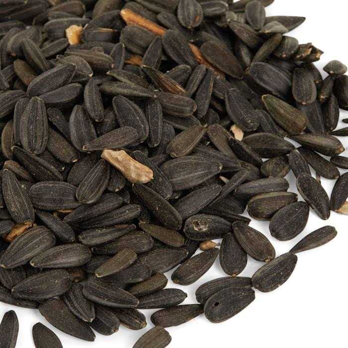 Black Oil Sunflower Seed Wild Bird Food P87326