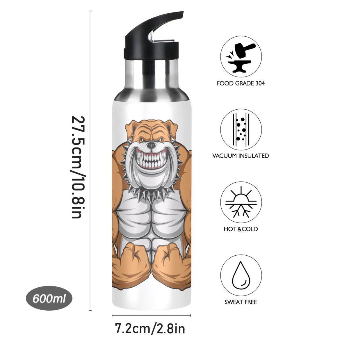 Stainless Steel Insulated Water Bottle with Straw Lid F784