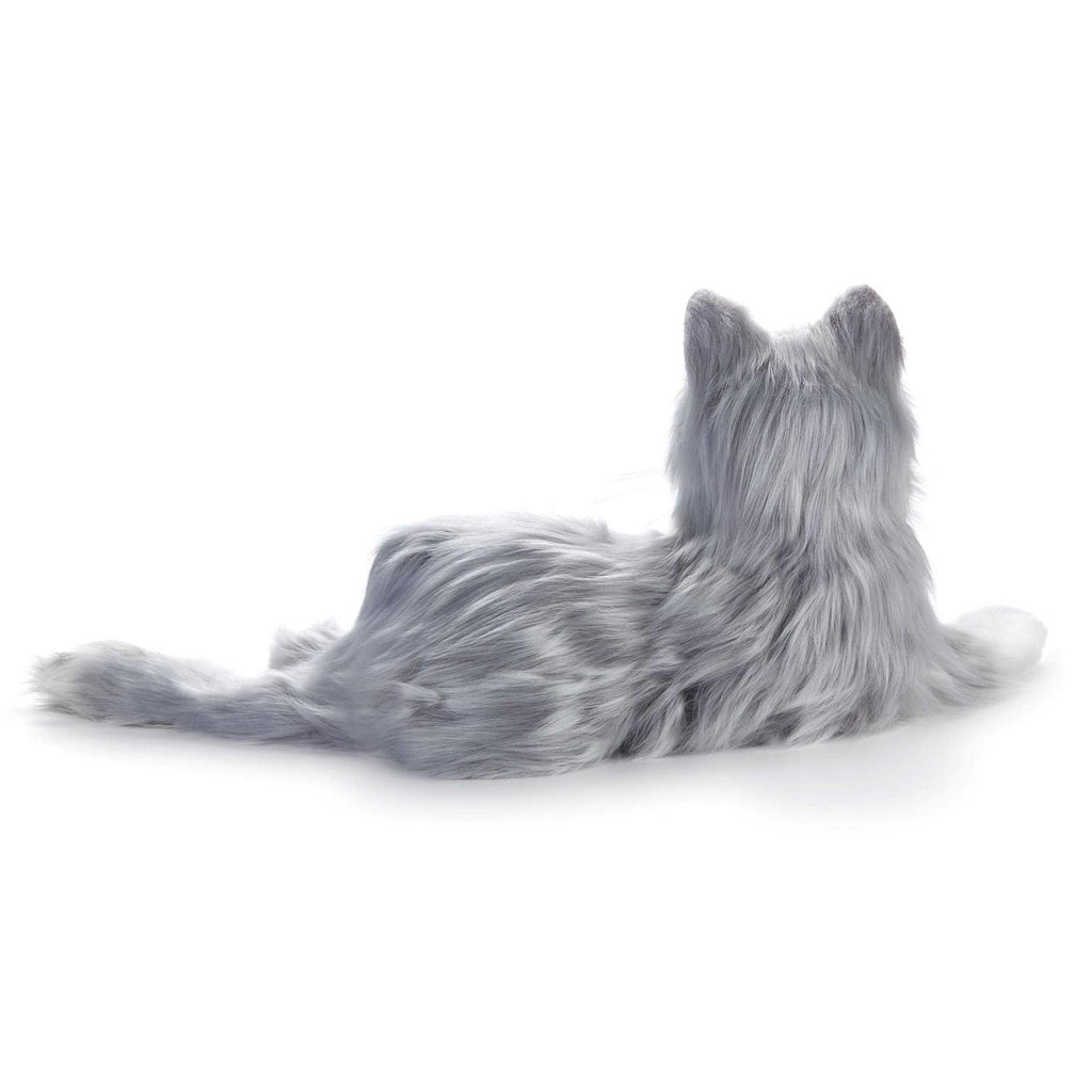 Companion Pet Cat G170