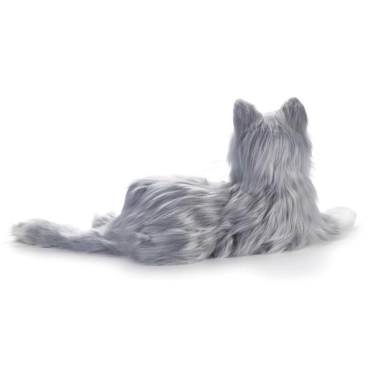 Companion Pet Cat G170