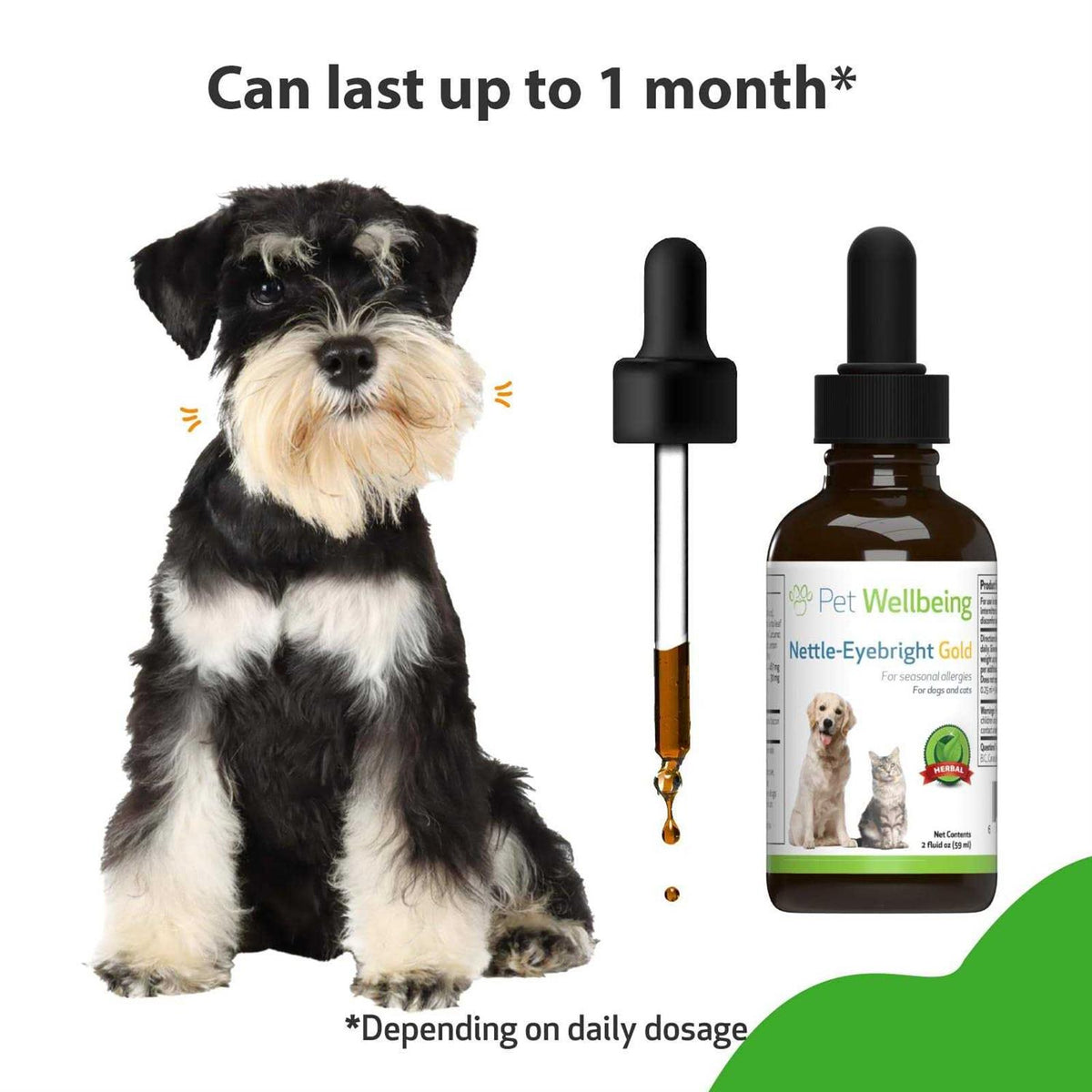 Nettle Eyebright Gold for Dogs P2272