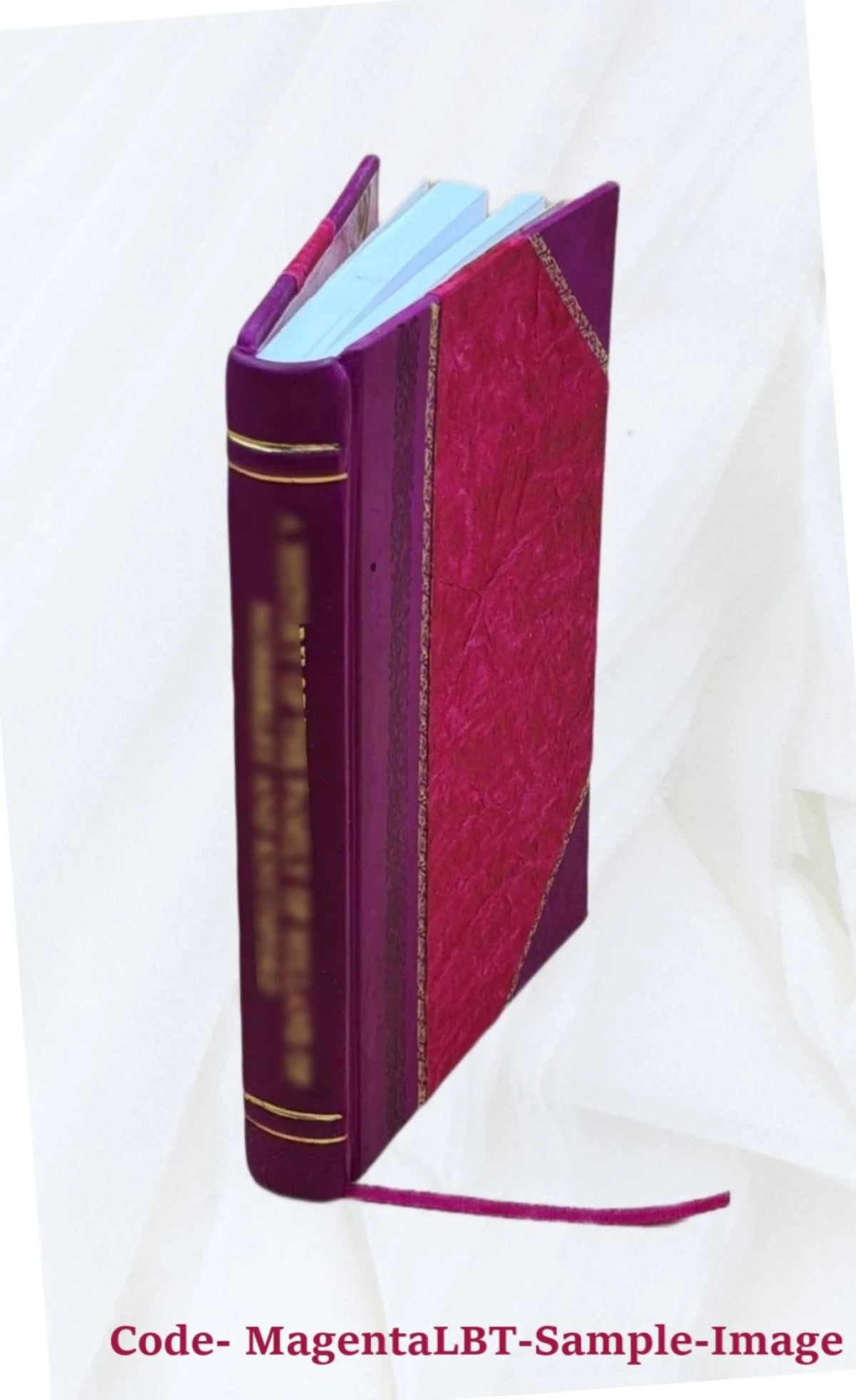 The angler. By Washington Irving. With etched illustrations by Louis K. Harlow. 1892 [Leather Bound] D795