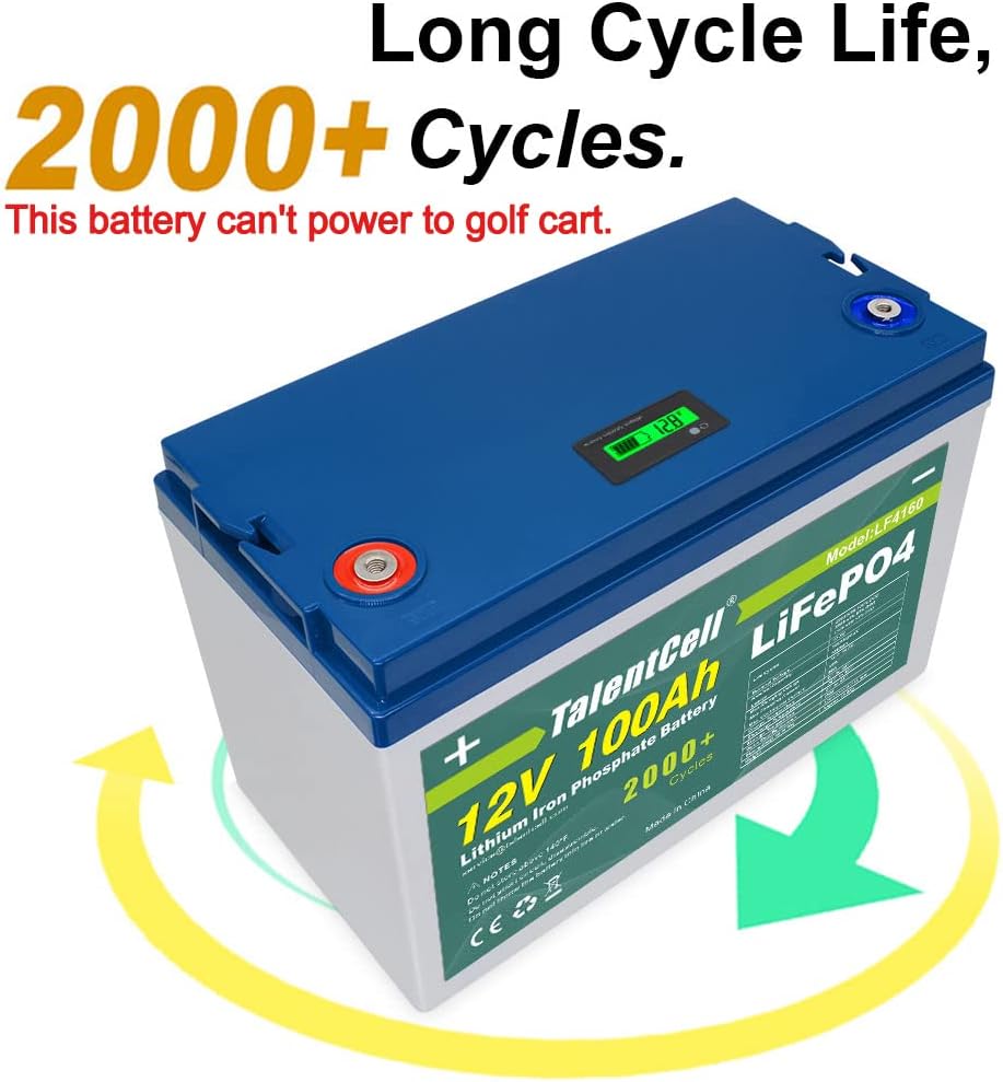 Rechargeable 12V 100Ah Lithium Iron Phosphate Deep Cycle Battery Pack X977986