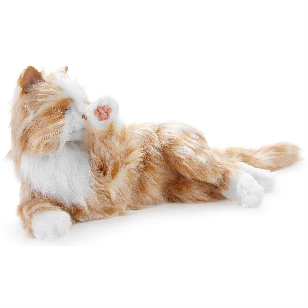 Companion Pet Cat G170