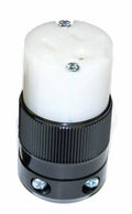 Female Connector W426881
