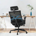 Ergonomic Mesh Office Chair with Lumbar Support Z8866