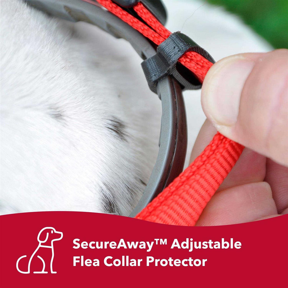 Flea Collar Protector S7633